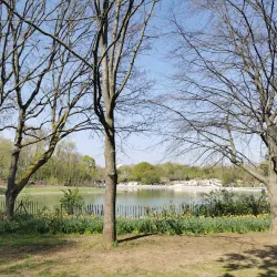 Parc des Chanteraines - La Garenne-Colombes