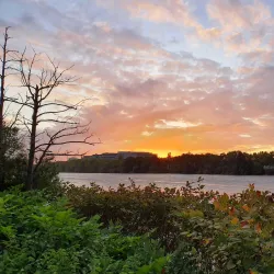 Parc Lagravère - La Garenne-Colombes