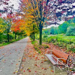 Parc Lagravère - La Garenne-Colombes