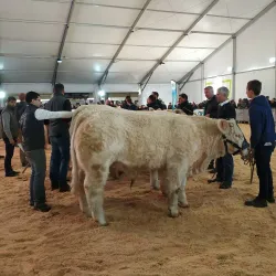 Parc Expo La Roche-sur-Yon - La Roche-sur-Yon