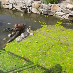 Place Napoléon - La Roche-sur-Yon