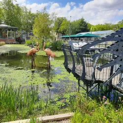 Place Napoléon - La Roche-sur-Yon