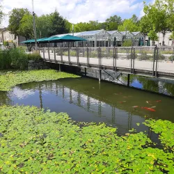 Place Napoléon - La Roche-sur-Yon