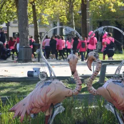 Place Napoléon - La Roche-sur-Yon