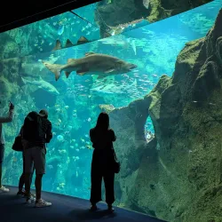 Aquarium La Rochelle - La Rochelle