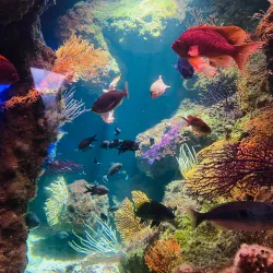 Aquarium La Rochelle - La Rochelle