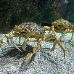 Aquarium La Rochelle - La Rochelle