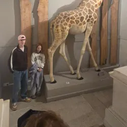 Muséum d'Histoire Naturelle de La Rochelle - La Rochelle