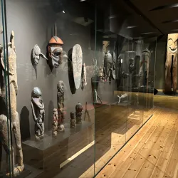 Muséum d'Histoire Naturelle de La Rochelle - La Rochelle