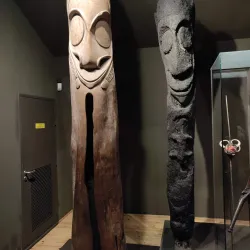 Muséum d'Histoire Naturelle de La Rochelle - La Rochelle