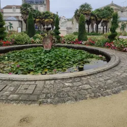 Muséum d'Histoire Naturelle de La Rochelle - La Rochelle