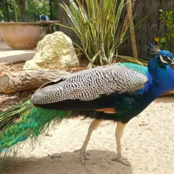 Parc Charruyer - La Rochelle