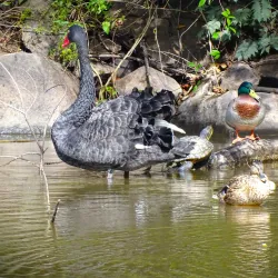 Parc de la Verrerie - Le Creusot