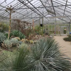 Les Jardins Suspendus (The Hanging Gardens) - Le Havre