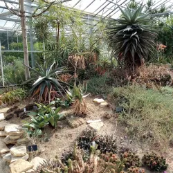 Les Jardins Suspendus (The Hanging Gardens) - Le Havre