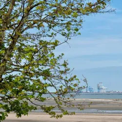 Port of Le Havre - Le Havre