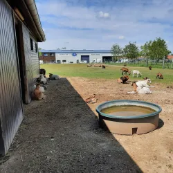 La Ferme de la Grange - Les Ulis