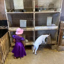 La Ferme de la Grange - Les Ulis