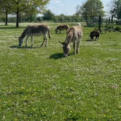 La Ferme de la Grange - Les Ulis