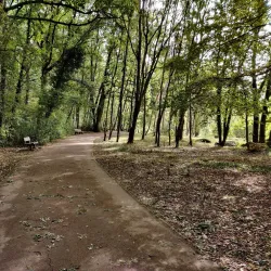 Parc des Châtaigniers - Les Ulis