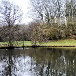 Parc des Ulis - Les Ulis