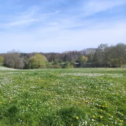 Parc des Ulis - Les Ulis