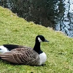 Parc des Ulis - Les Ulis