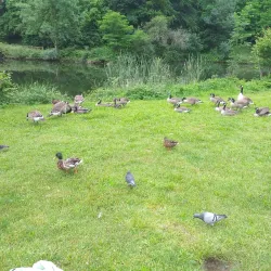 Parc des Ulis - Les Ulis