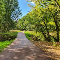 Parc des Ulis - Les Ulis