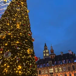 Grand Place (Place du Général-de-Gaulle) - Lille