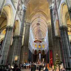 Lille Cathedral (Basilique-cathédrale Notre-Dame-de-la-Treille) - Lille