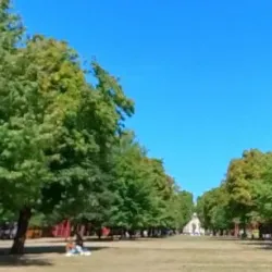 Parc Jean-Baptiste Lebas - Lille