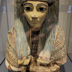 Musée des Beaux-Arts de Limoges - Limoges