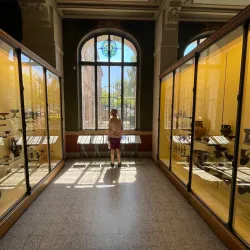 Musée des Beaux-Arts de Limoges - Limoges