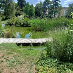 Parc Victor Thuillat - Limoges