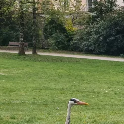 Parc Victor Thuillat - Limoges