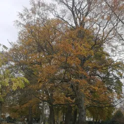 Parc Victor Thuillat - Limoges