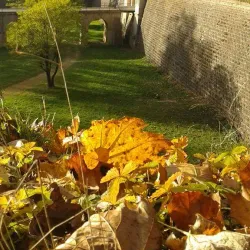 La Porte de France - Longwy