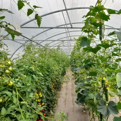 Parc du Bois du Château - Lorient