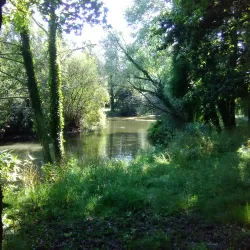 Parc du Bois du Château - Lorient