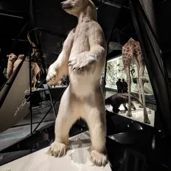 Confluence Museum (Musée des Confluences) - Lyon