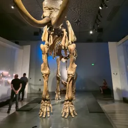 Confluence Museum (Musée des Confluences) - Lyon
