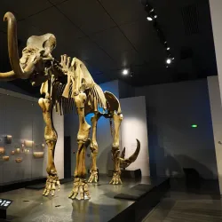 Confluence Museum (Musée des Confluences) - Lyon