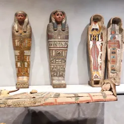 Musée des Beaux-Arts de Lyon - Lyon