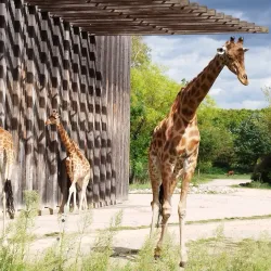 Parc de la Tête d'Or - Lyon