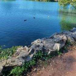 Parc de la Tête d'Or - Lyon