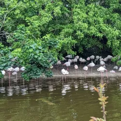 Parc de la Tête d'Or - Lyon