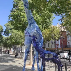 La Canebière - Marseille