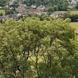 Abbaye de Sainte-Suzanne - Mayenne