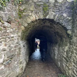 Parc du Château - Mayenne
